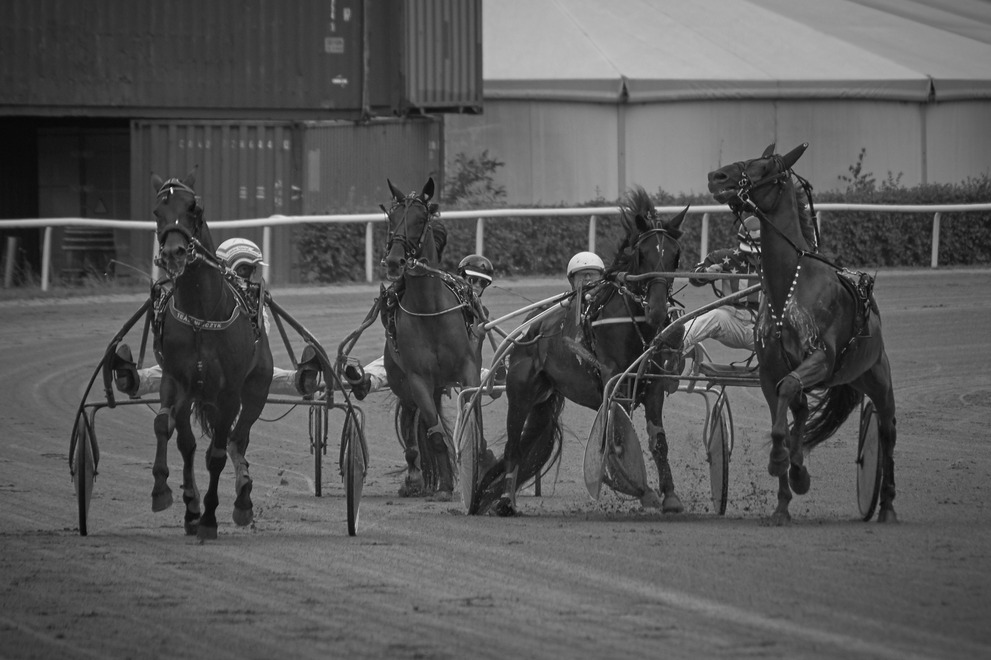 A minor accident occuring during a horse race.