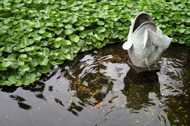 A stone fish sculpture in a lake.